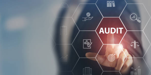 Audit Services